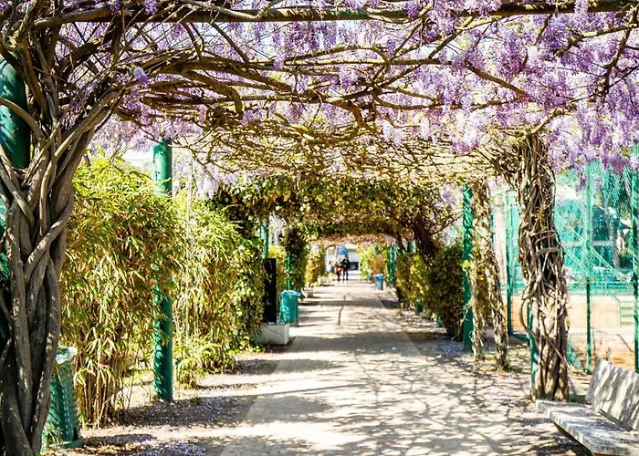 Regina - Marepineta 4* Milano Marittima