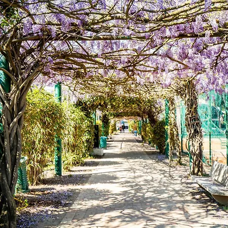 Regina - Marepineta 4* Milano Marittima