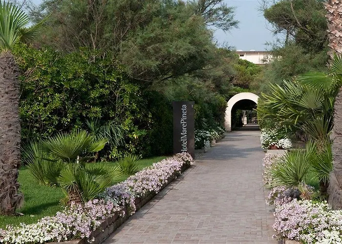 Regina - Marepineta Milano Marittima