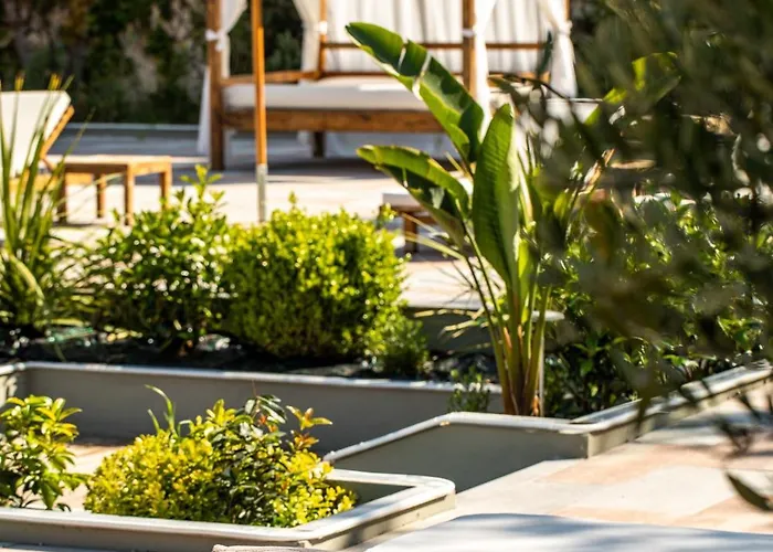 Otel Regina - Marepineta Milano Marittima